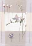 Impression Florale II by Stephanie Flateau