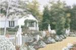 In Full Bloom by Diane Romanello