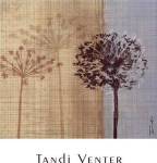 In the Breeze II by Tandi Venter