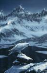 In The Land Of Ice And Snow by Jeff Tift