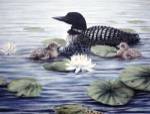 In the Lilies by Kevin Dodds