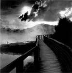 In the Mist by Monte Nagler