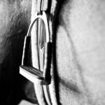 In the Stable II by Susan Bryant