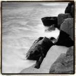 Incoming Tide IV by Laura Denardo