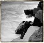 Incoming Tide IV by Laura Denardo