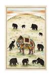 Indian Elephant Gathering by Ramesh Sharma