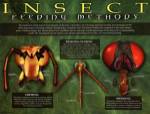 Insect Feeding Methods
