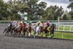 Into The Home Stretch by Galloimages Online