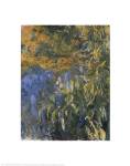 Iris, 1914-1917 by Claude Monet