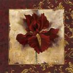 Iris by Richard Henson