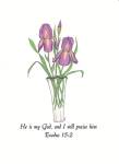 Iris by Cindy Egger