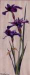 Iris Panel II by Ruth Baderian