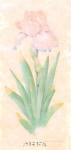 Iris Soliloquy I by Nancy Kaestner