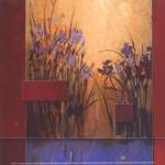 Iris Sunrise by Don Li-Leger