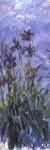 Irises by Claude Monet