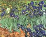 Irises, 1889 by Vincent van Gogh