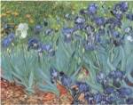 Irises in the Garden by Vincent van Gogh