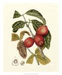 Island Fruits III by Berthe Morisot