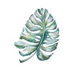 Island Leaf I by Tre Sorelle Studios