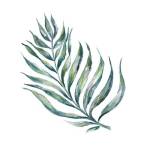 Island Leaf II by Tre Sorelle Studios
