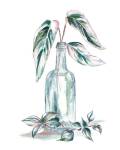 Island Tropics Frond in Bottle III by Tre Sorelle Studios