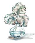 Island Tropics Frond in Bottle IV by Tre Sorelle Studios