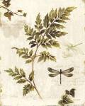 Ivies and Ferns III by Lisa Audit