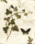 Ivies and Ferns IV by Lisa Audit