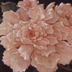 Ivory Peonies by Janet Kruskamp
