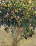 J. Ripoll - Limonero Size 38.625x49.625 by J. Ripoll