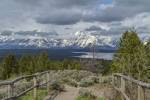 Jackson Lake Overlook G by Galloimages Online