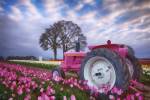 Jane Deere by Darren White Photography