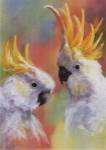 Janet Flinn - Sulphur-Crested Size 23.75x31.5 by Janet Flinn