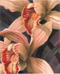 Jason Higby - Orchids II Size 18x24 by Jason Higby