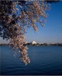 Jefferson Memorial Washington, D.C. USA
