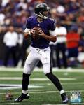 Joe Flacco 2013 Action