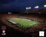 Jordan Hare Stadium Auburn Univeristy Tigers 2008
