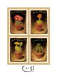 Joseph d. Fiedler - Cacti Size 14x11 by Joseph D. Fiedler