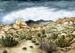 Joshua Trees by Peter Potter