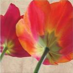 Joy IV by S.G. Rose
