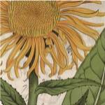 Joyful Bloom I by Sabine Berg