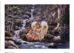 Joyful Hope by Dona Gelsinger