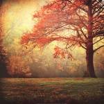 Just Around the Corner by Katya Horner