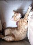 Just Stretchin