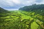 Kaaawa Valley by Cameron Brooks