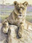 Kalon Baughan - Serengeti Lioness Size 14x11 by Kalon Baughan