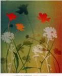 kari's garden I by Elizabeth Downing