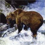 Katmai Cascade by Julie Chapman