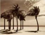 Key Biscayne I by Dennis Kelly
