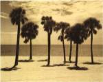 Key Biscayne II by Dennis Kelly